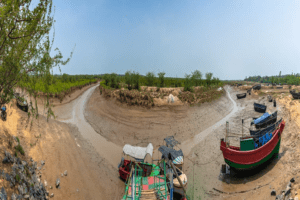 Bichitrapur Mangrove Sanctuary Nature Camp Balasore Odisha Tourism