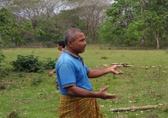 Jadav Payeng The Forest Man Of India Who Planted An Entire Molai Forest