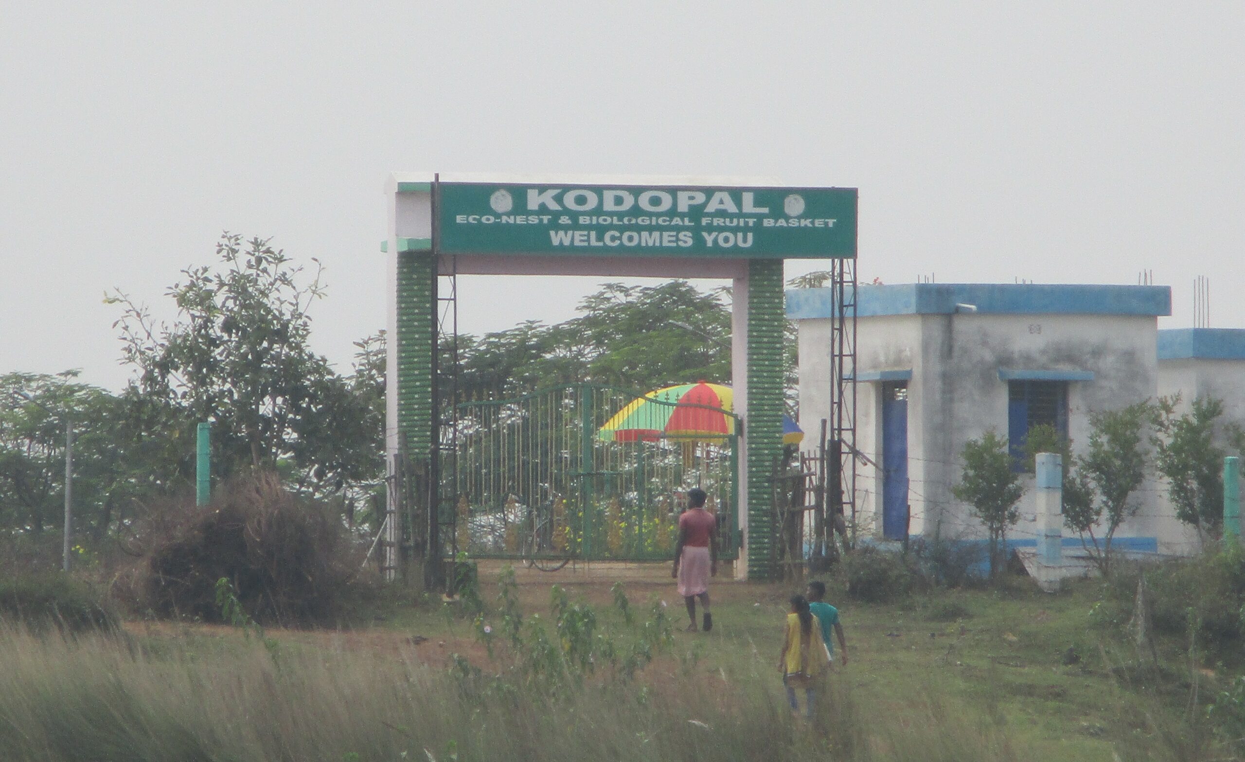 Read more about the article Kodopal Park Near Rameshwar Mandir Harekrishnapur Jhargram Tourism