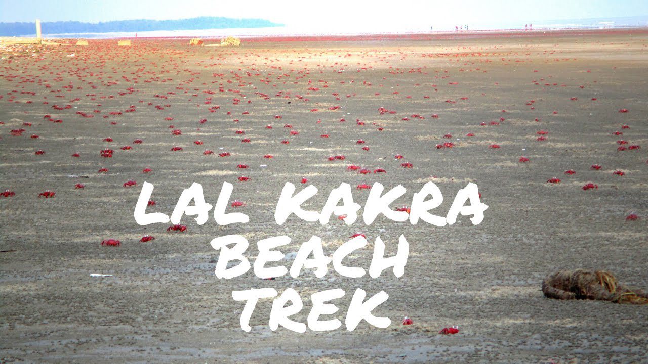 Lal Kakra Beach Purusottomopur – Lal-Kakra Sea Beach Camp