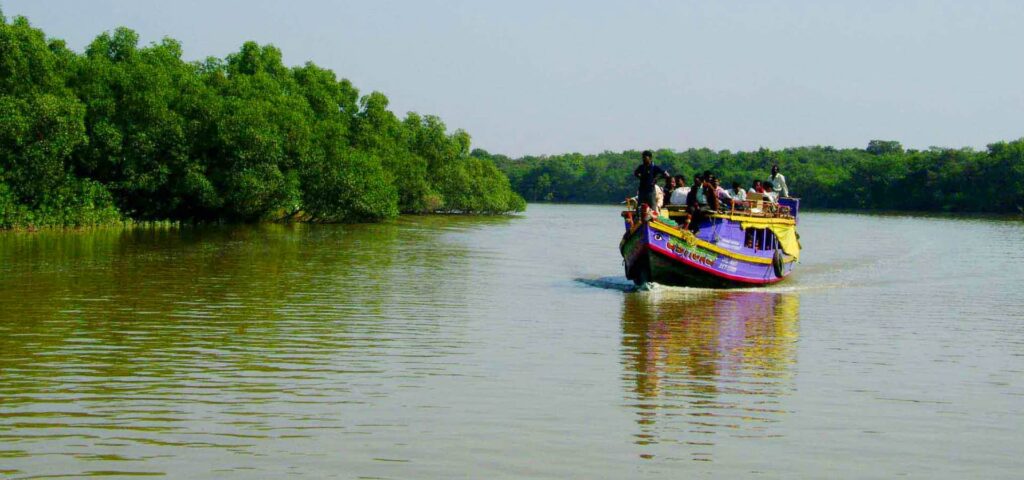 Info Of Bhitarkanika National Park - Nature Camps - Odisha Tourism