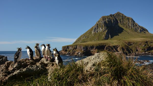 Tristan da Cunha Island