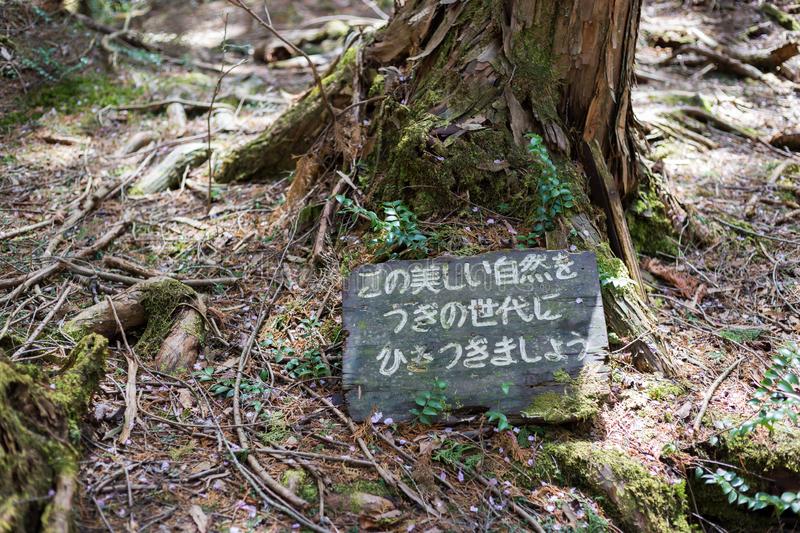 Read more about the article Horror stories related to Japan’s suicide forest – Aokigahara the Sea of Trees