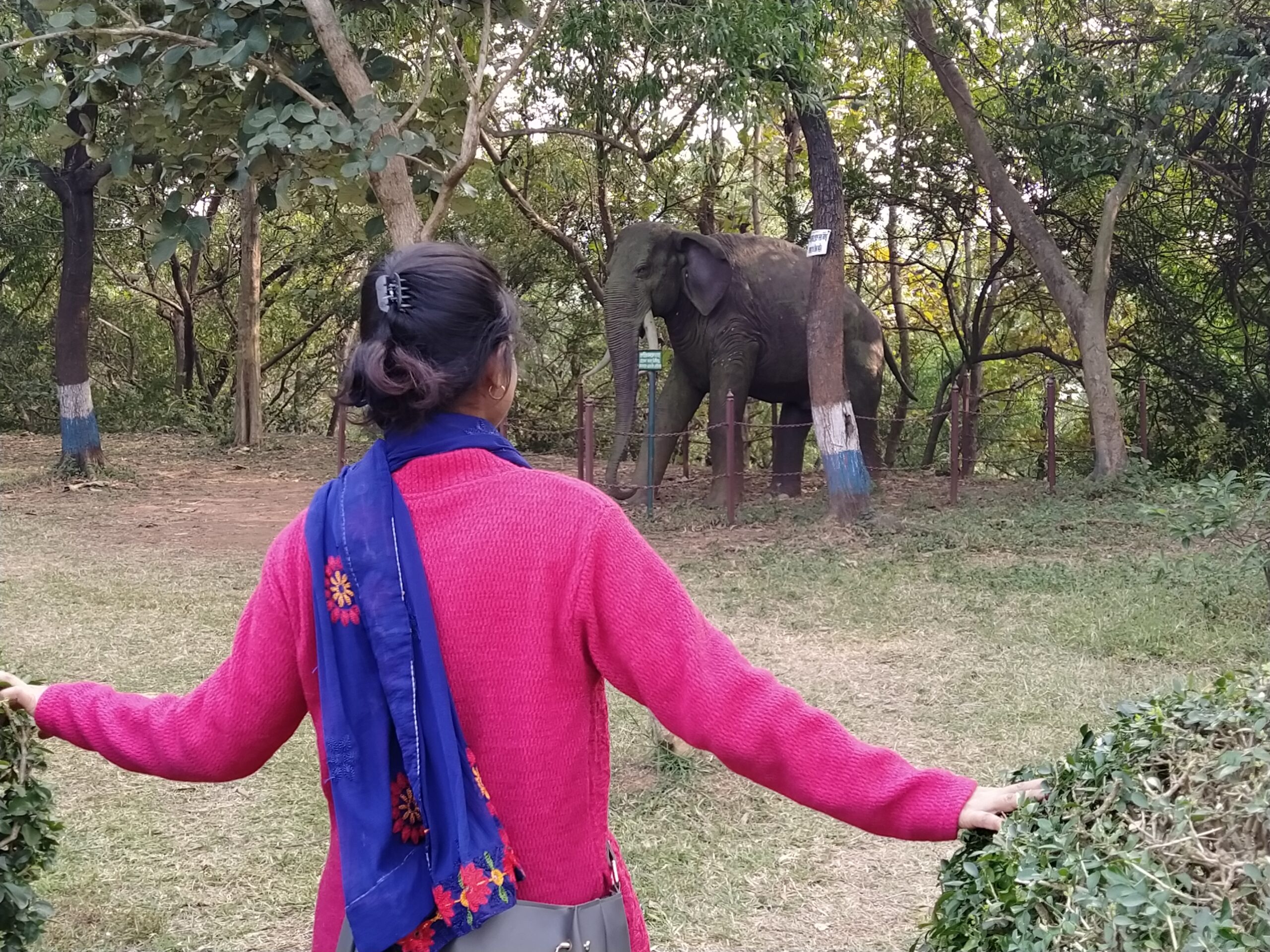 Gopegarh Eco Park Midnapore - Best Picnic Spot of Medinipur