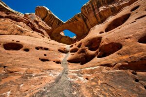 The Top Three National Parks In The US