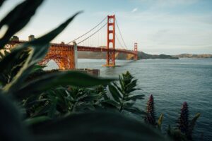 4 Unusual and Fun Things to Do in San Francisco