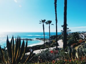 5 Ideas on What To Do on a Family Trip in California