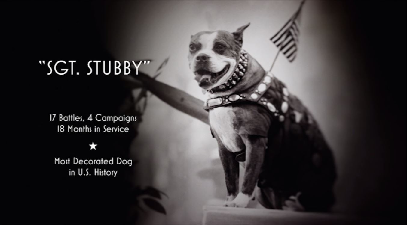 Read more about the article Sergeant Stubby The War Dog Who Participated In 17 Battles During World War 1