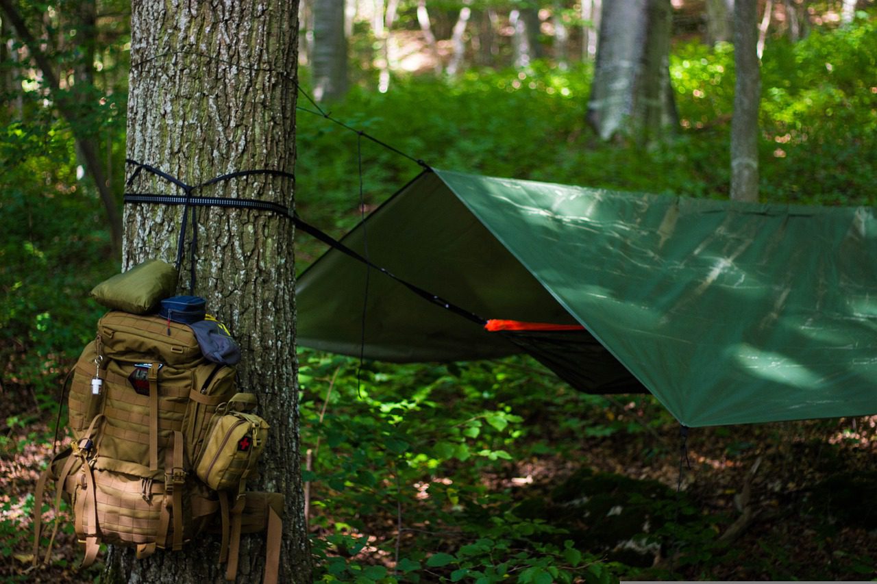 Read more about the article Camping in the Wilderness: 5 Tips for Safety
