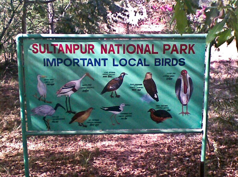 Sultanpur National Park