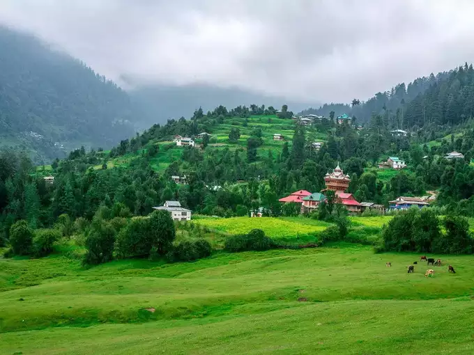 5 Of The Most Beautiful Green Places For Nature Lovers In India