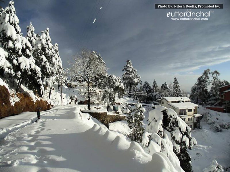 6 Best Hill Stations near Delhi to Visit in Winter