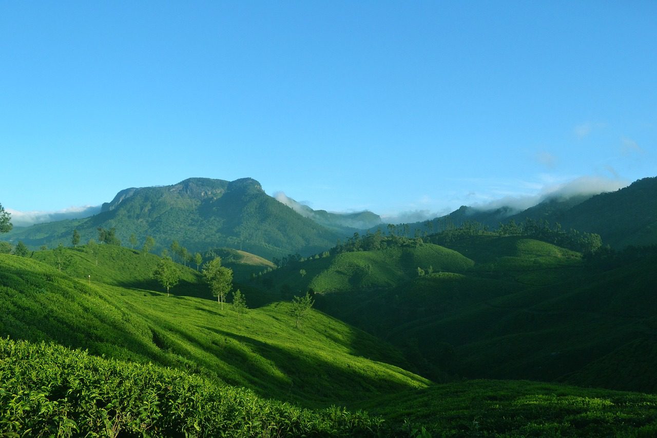 Munnar, Kerala