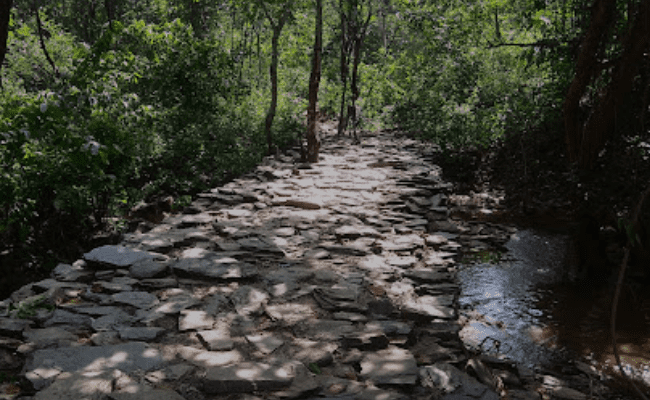 Dhangikusum Falls Belpahari Tour Jhargram Bengal Tourism