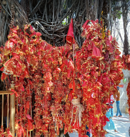 History Of Chintpurni Devi Temple Una Himachal Pradesh