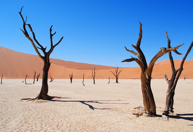 Deadvlei, Namibia