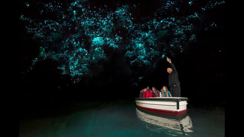 Glowworm Caves, Waitomo, New Zealand