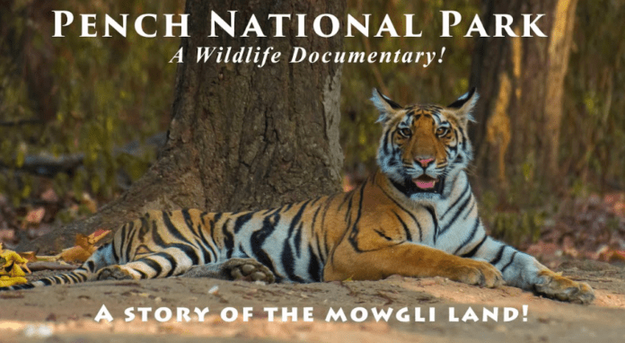 Pench National Park Detailed Information Madhya Pradesh Tourism