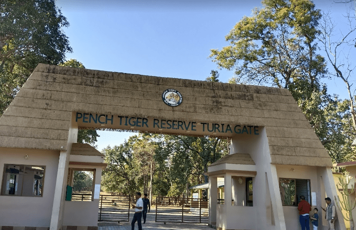 Pench National Park Detailed Information Madhya Pradesh Tourism