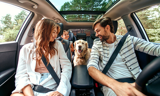 Read more about the article Pet-Friendly Cars – Your pets decide which car you will buy
