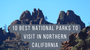 National Parks in Northern California Explore the Best of Northern California