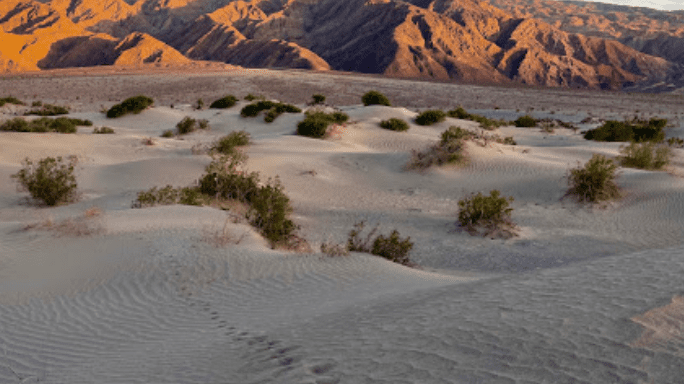 National Parks in Northern California Explore the Best of Northern California