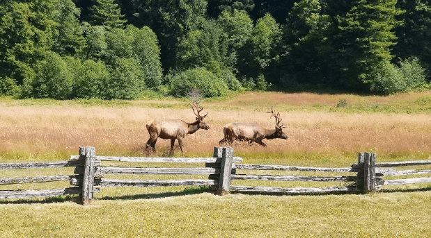 National Parks in Northern California Explore the Best of Northern California