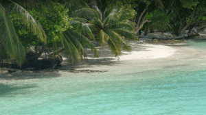 Maldives Tour Package From Kolkata India and Maldives Tour Guide