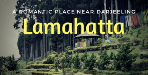 Lamahatta Eco Park Darjeeling: A Serene Getaway for Couples near Darjeeling North Bengal Tourism