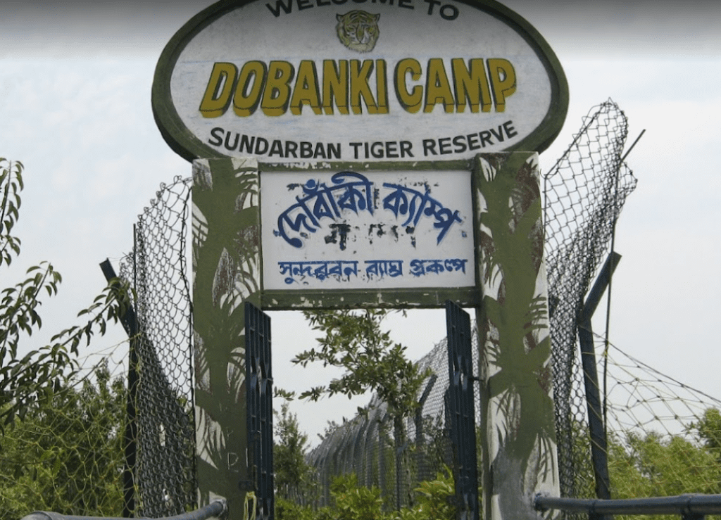 Sundarban Tour Package Minimum Budget and Maximum Entertainment From Kolkata