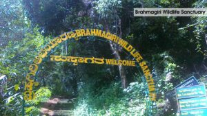 Brahmagiri Wildlife Sanctuary – A Breathtaking Heaven of Flora and Fauna