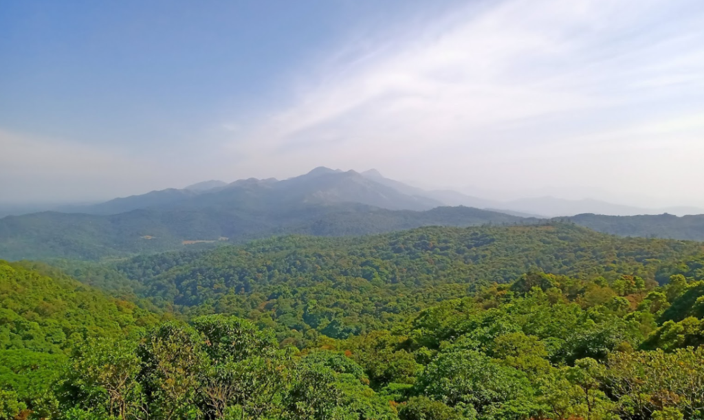 Brahmagiri Hill