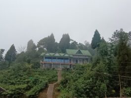 Takdah Homestay And Viewpoint Darjeeling Bengal Tourism