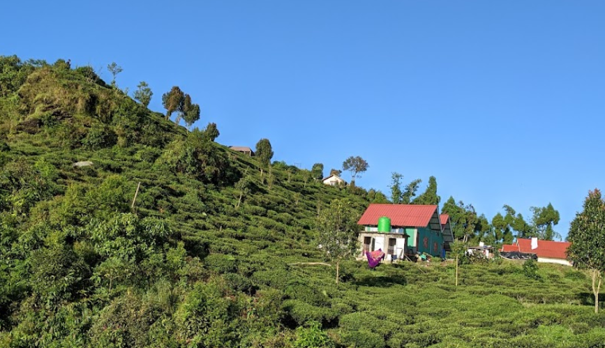 Sittong Homestay and Sightseeing Darjeeling Tourism