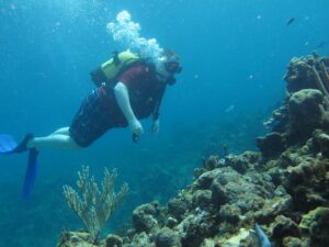 Scuba diving in Andaman – Complete Guide