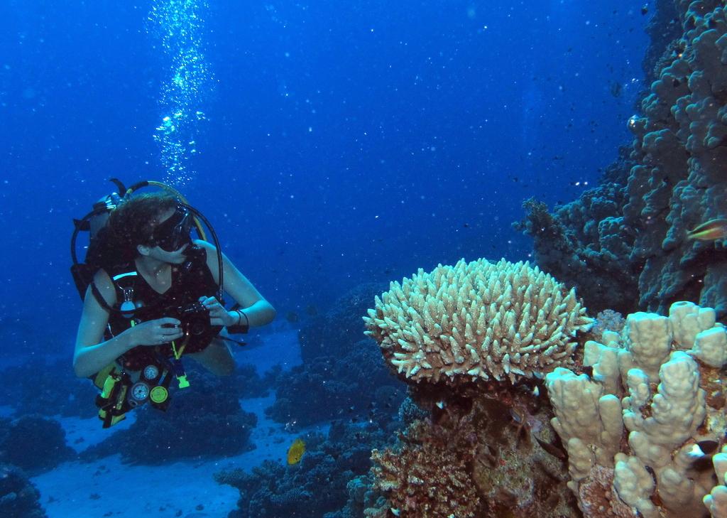 Scuba diving in Andaman 