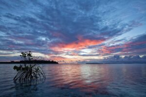 Bichitrapur Mangrove Sanctuary – Worst Experience Tour on 31st December With Me and My Family