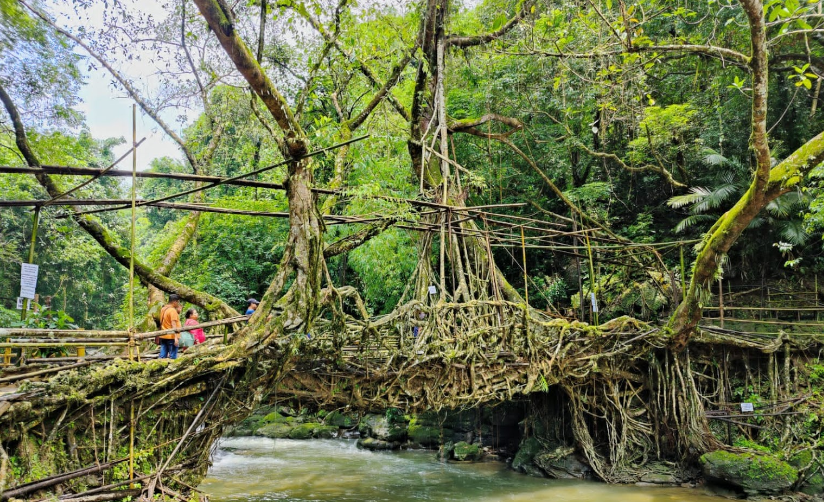 Sohra Tourist Spot In Cherrapunjee Meghalaya Tourism 2024