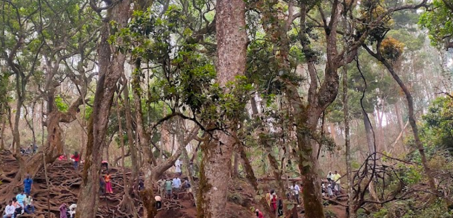 Guna Caves Kodaikanal: Manjummel Boys Encounter Devils Kitchen